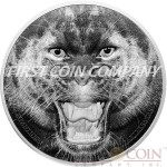 Tanzania THE BLACK PANTHER series RARE WILDLIFE 1500 Shillings Silver coin 2016 Proof 2 oz